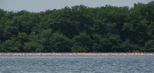 Fotografia de no - Galeria Fotografica: Naturaleza - Foto: Habitat Natural