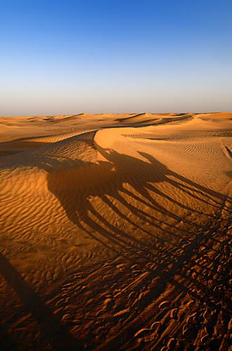 Fotografia de Margalef - Galeria Fotografica: Instantneas de un voyeur - Foto: Sombras