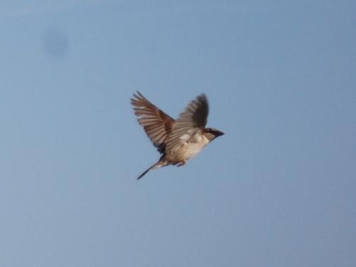 Fotografia de Alber - Galeria Fotografica: varias - Foto: 