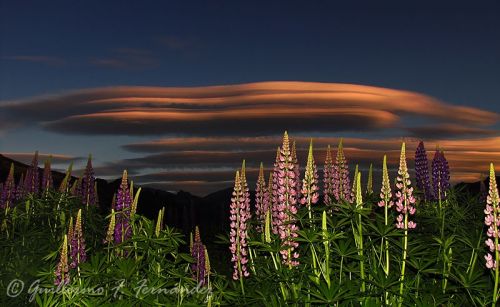 Fotografia de Guillermo F. Fernndez - Galeria Fotografica: Paisajes Patagnicos - Foto: 