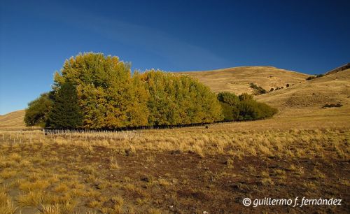 Fotografia de Guillermo F. Fernndez - Galeria Fotografica: Paisajes Patagnicos - Foto: 