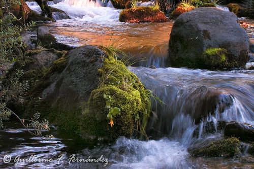 Fotografia de Guillermo F. Fernndez - Galeria Fotografica: Paisajes Patagnicos - Foto: 