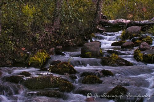 Fotografia de Guillermo F. Fernndez - Galeria Fotografica: Paisajes Patagnicos - Foto: 