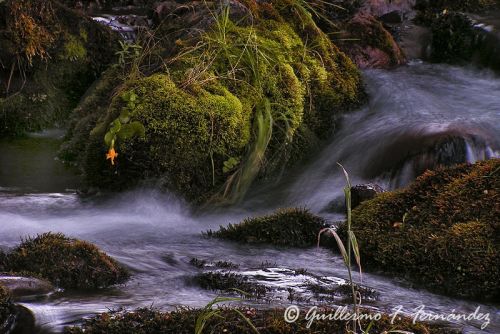 Fotografia de Guillermo F. Fernndez - Galeria Fotografica: Paisajes Patagnicos - Foto: 