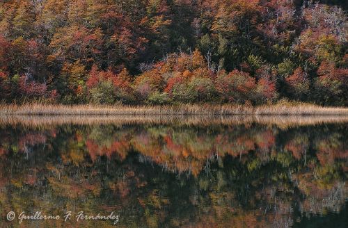 Fotografia de Guillermo F. Fernndez - Galeria Fotografica: Paisajes Patagnicos - Foto: 
