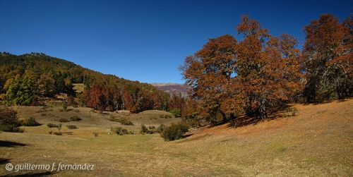 Fotografia de Guillermo F. Fernndez - Galeria Fotografica: Paisajes Patagnicos - Foto: 
