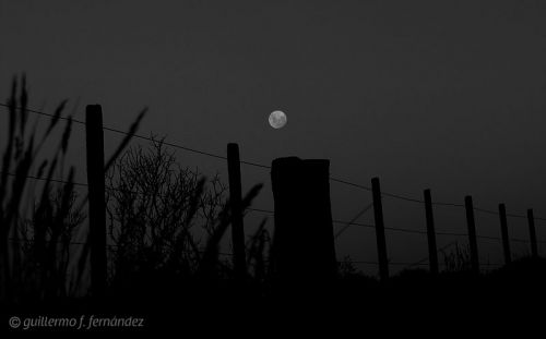 Fotografia de Guillermo F. Fernndez - Galeria Fotografica: Paisajes Patagnicos - Foto: 