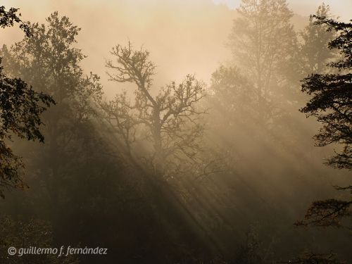 Fotografia de Guillermo F. Fernndez - Galeria Fotografica: Paisajes Patagnicos - Foto: 