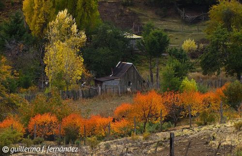Fotografia de Guillermo F. Fernndez - Galeria Fotografica: Paisajes Patagnicos - Foto: 