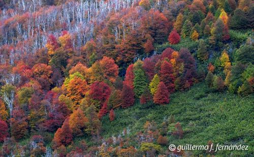 Fotografia de Guillermo F. Fernndez - Galeria Fotografica: Paisajes Patagnicos - Foto: 