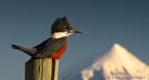 Fotografia de Guillermo F. Fernndez - Galeria Fotografica: Paisajes Patagnicos - Foto: 