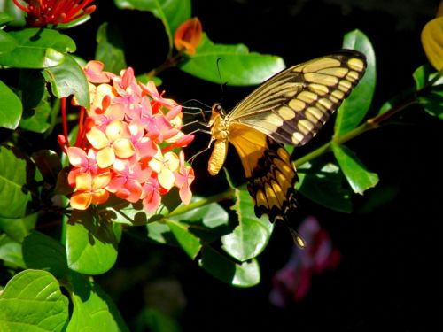 Fotografia de Rau Arias - Galeria Fotografica: Naturaleza - Foto: 