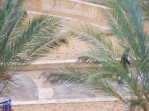 Fotografia de Beto - Galeria Fotografica: LLUVIA - Foto: 