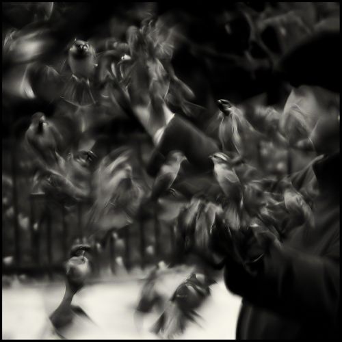 Fotografia de i2Photo - Galeria Fotografica: inazio photographies - Foto: El hombre pjaro