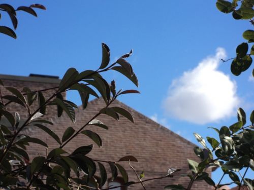 Fotografia de Erica - Galeria Fotografica: Mis Fotos! - Foto: 