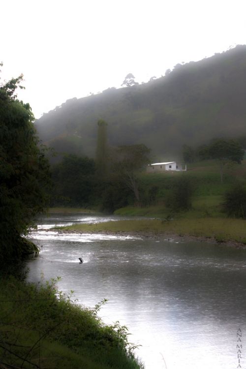 Fotografia de no - Galeria Fotografica: Naturaleza - Foto: 