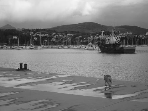 Fotografia de Gonzalo - Galeria Fotografica: Retratos - Foto: Laurin en el puerto
