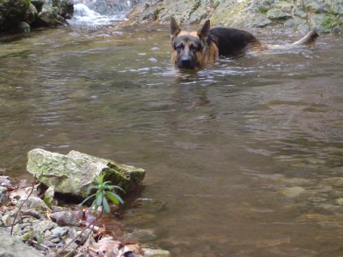 Fotografia de Gonzalo - Galeria Fotografica: Retratos - Foto: Ramses nadando