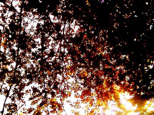 Fotografia de Lissette Gonzalez - Galeria Fotografica: Un poco de m - Foto: 