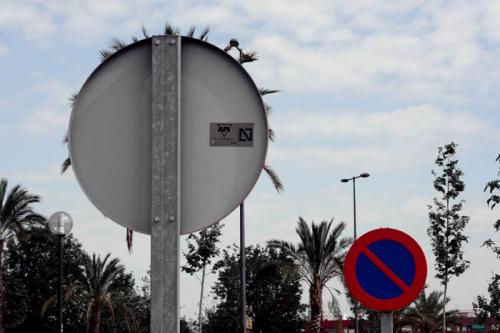 Fotografia de nachoprix - Galeria Fotografica: Varios - Foto: Despeinada