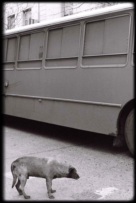 Fotografia de Jorge de Miguel - Galeria Fotografica: buenos aires - Foto: 