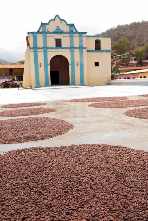 Fotografia de Walter Otto - Galeria Fotografica: CHUAO / VENEZUELA - Foto: 