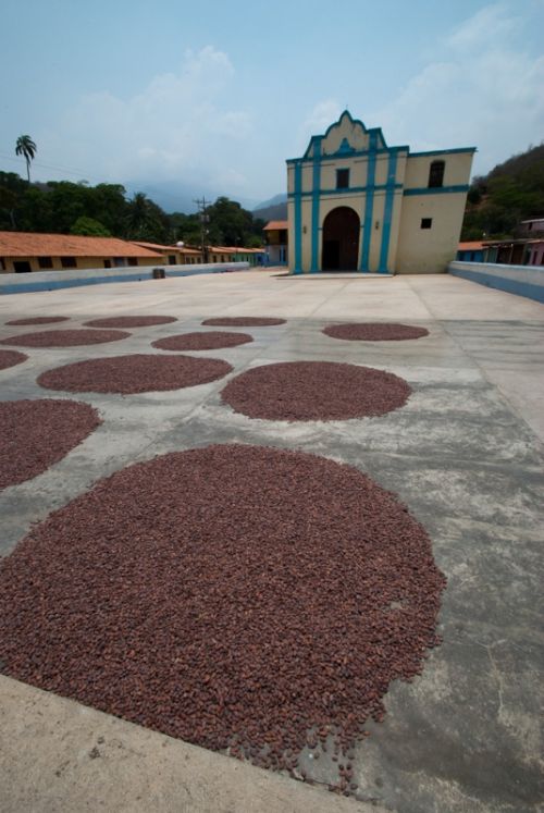 Fotografia de Walter Otto - Galeria Fotografica: CHUAO / VENEZUELA - Foto: 