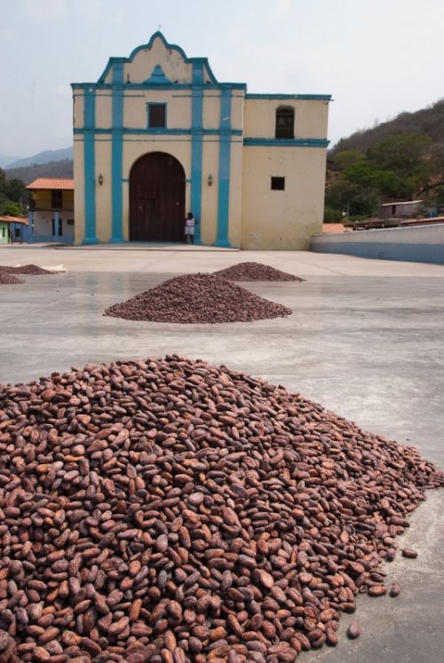 Fotografia de Walter Otto - Galeria Fotografica: CHUAO / VENEZUELA - Foto: 