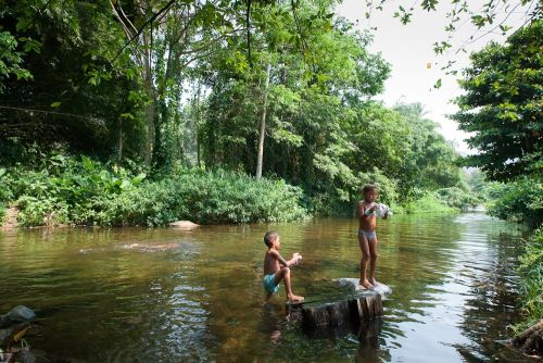 Fotografia de Walter Otto - Galeria Fotografica: CHUAO / VENEZUELA - Foto: 
