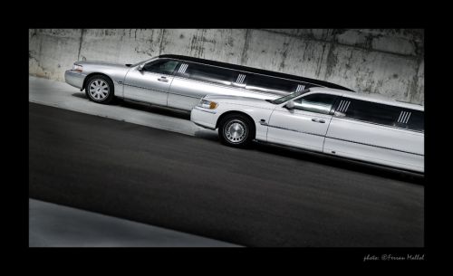 Fotografia de Ferran Mallol - Galeria Fotografica: Limusinas - Foto: 
