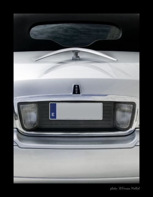 Fotografia de Ferran Mallol - Galeria Fotografica: Limusinas - Foto: 