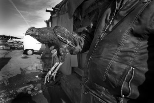 Fotografia de Ferran Mallol - Galeria Fotografica: Poblado - Foto: 