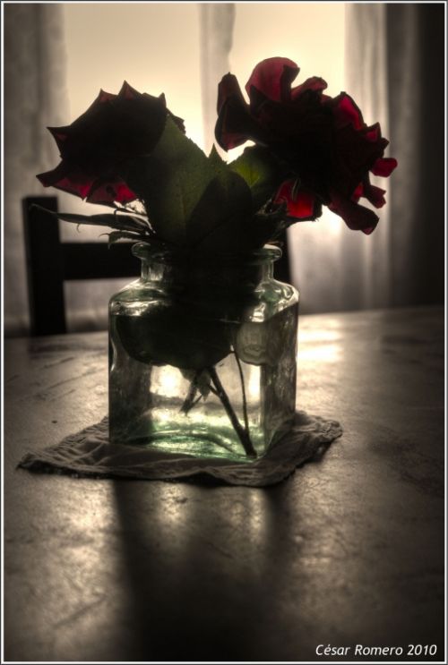 Fotografia de Cesar - Galeria Fotografica: HDR - Foto: Contraluz