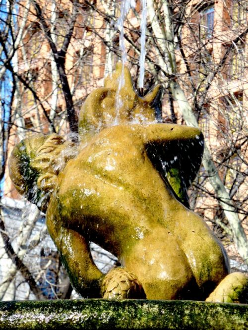 Fotografia de GON - Galeria Fotografica: expuestas - Foto: 