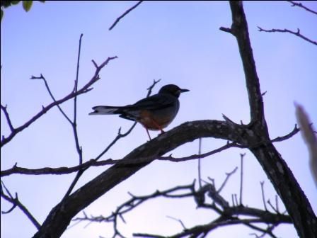 Fotografia de mizZ - Galeria Fotografica: Retrato de la muerte - Foto: Espiritus