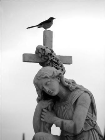 Fotografia de mizZ - Galeria Fotografica: Retrato de la muerte - Foto: Puntos cardinales