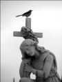 Fotos de mizZ -  Foto: Retrato de la muerte - Puntos cardinales