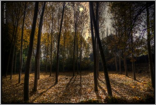 Fotografia de Cesar - Galeria Fotografica: HDR - Foto: 