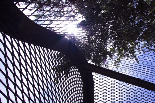 Fotografia de MANUEL CAZORLA - Galeria Fotografica: MUSEO DE ESCULTURA EN EL EXTERIOR - Foto: 