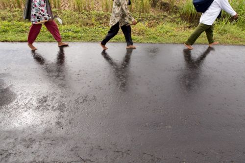 Fotografia de Rodrigo Ordonez Photography - Galeria Fotografica: Fotgrafo en Yakarta, Indonesia - Foto: Produccion de comida en Java, Indonesia, 2013