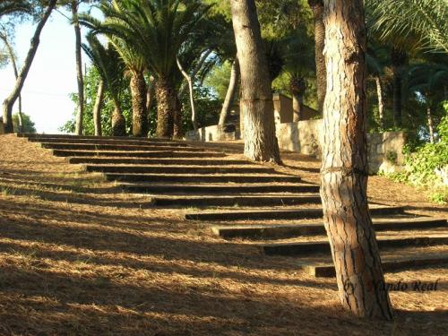 Fotografia de nando - Galeria Fotografica: La grandeza de lo cotidiano - Foto: escalera