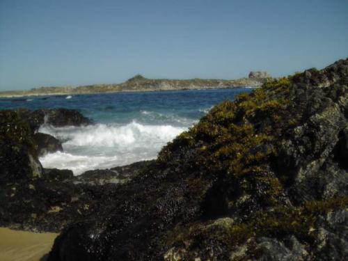 Fotografia de A.Billy - Galeria Fotografica: SoloImagenes - Foto: CasiEnTralca