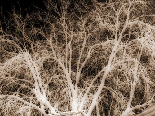 Fotografia de A.Billy - Galeria Fotografica: SoloImagenes - Foto: ttrico