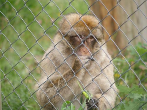 Fotografia de Fotokar - Galeria Fotografica: Animales - Foto: 