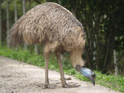 Fotografia de Fotokar - Galeria Fotografica: Animales - Foto: 