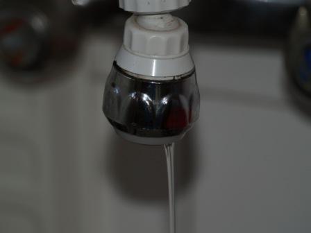 Fotografia de Lenrhanssen - Galeria Fotografica: Primeras Fotos - Foto: 