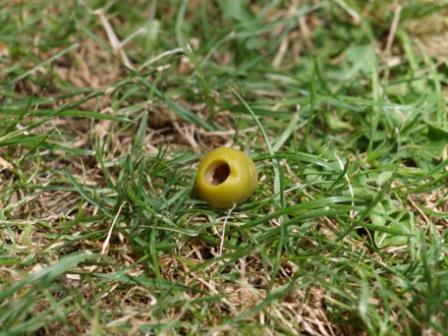 Fotografia de Lenrhanssen - Galeria Fotografica: Primeras Fotos - Foto: Por donde entro