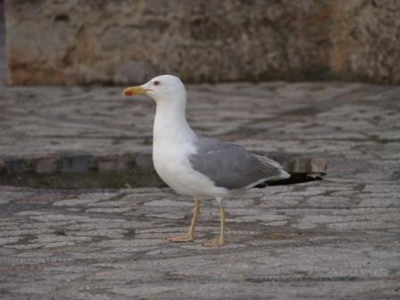 Fotografia de Lenrhanssen - Galeria Fotografica: Primeras Fotos - Foto: Sola