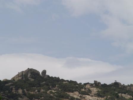 Fotografia de Lenrhanssen - Galeria Fotografica: Primeras fotos 2 - Foto: La tortuga