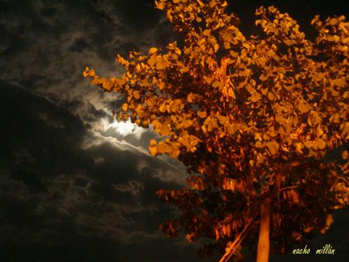 Fotografia de Nacho Mill�n - Galeria Fotografica: Cuando anochece.... - Foto: a escondidas